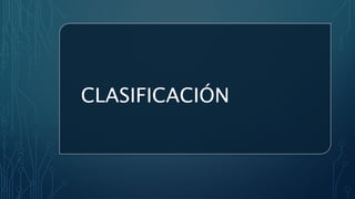 CLASIFICACIÓN
 