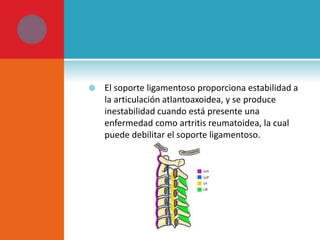  El soporte ligamentoso proporciona estabilidad a 
la articulación atlantoaxoidea, y se produce 
inestabilidad cuando está presente una 
enfermedad como artritis reumatoidea, la cual 
puede debilitar el soporte ligamentoso. 
 