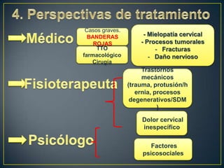 Casos graves.
BANDERAS
ROJAS
TTO
farmacológico
Cirugía

- Mielopatía cervical
- Procesos tumorales
- Fracturas
- Daño nervioso

Trastornos
mecánicos
(trauma, protusión/h
ernia, procesos
degenerativos/SDM
)
Dolor cervical
inespecífico
Factores
psicosociales

 