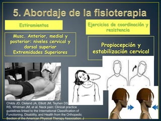 Estiramientos
Musc. Anterior, medial y
posterior: niveles cervical y
dorsal superior
Extremidades Superiores

Childs JD, Cleland JA, Elliott JM, Teyhen DS, Wainner
RS, Whitman JM, et al. Neck pain: Clinical practice
guidelines linked to the International Classification of
Functioning, Disability, and Health from the Orthopedic
Section of the American Physical Therapy Association. J

Ejercicios de coordinación y
resistencia

Propiocepción y
estabilización cervical

 