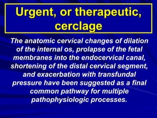 The anatomic cervical changes of dilation
of the internal os, prolapse of the fetal
membranes into the endocervical canal,
shortening of the distal cervical segment,
and exacerbation with transfundal
pressure have been suggested as a final
common pathway for multiple
pathophysiologic processes.
Urgent, or therapeutic,
cerclage
 