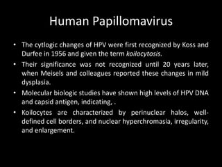 Human Papillomavirus
• The cytlogic changes of HPV were first recognized by Koss and
  Durfee in 1956 and given the term koilocytosis.
• Their significance was not recognized until 20 years later,
  when Meisels and colleagues reported these changes in mild
  dysplasia.
• Molecular biologic studies have shown high levels of HPV DNA
  and capsid antigen, indicating, .
• Koilocytes are characterized by perinuclear halos, well-
  defined cell borders, and nuclear hyperchromasia, irregularity,
  and enlargement.
 