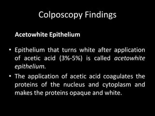 Colposcopy Findings

  Acetowhite Epithelium

• Epithelium that turns white after application
  of acetic acid (3%-5%) is called acetowhite
  epithelium.
• The application of acetic acid coagulates the
  proteins of the nucleus and cytoplasm and
  makes the proteins opaque and white.
 