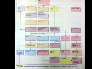 Cervical intraepithelial neoplasia