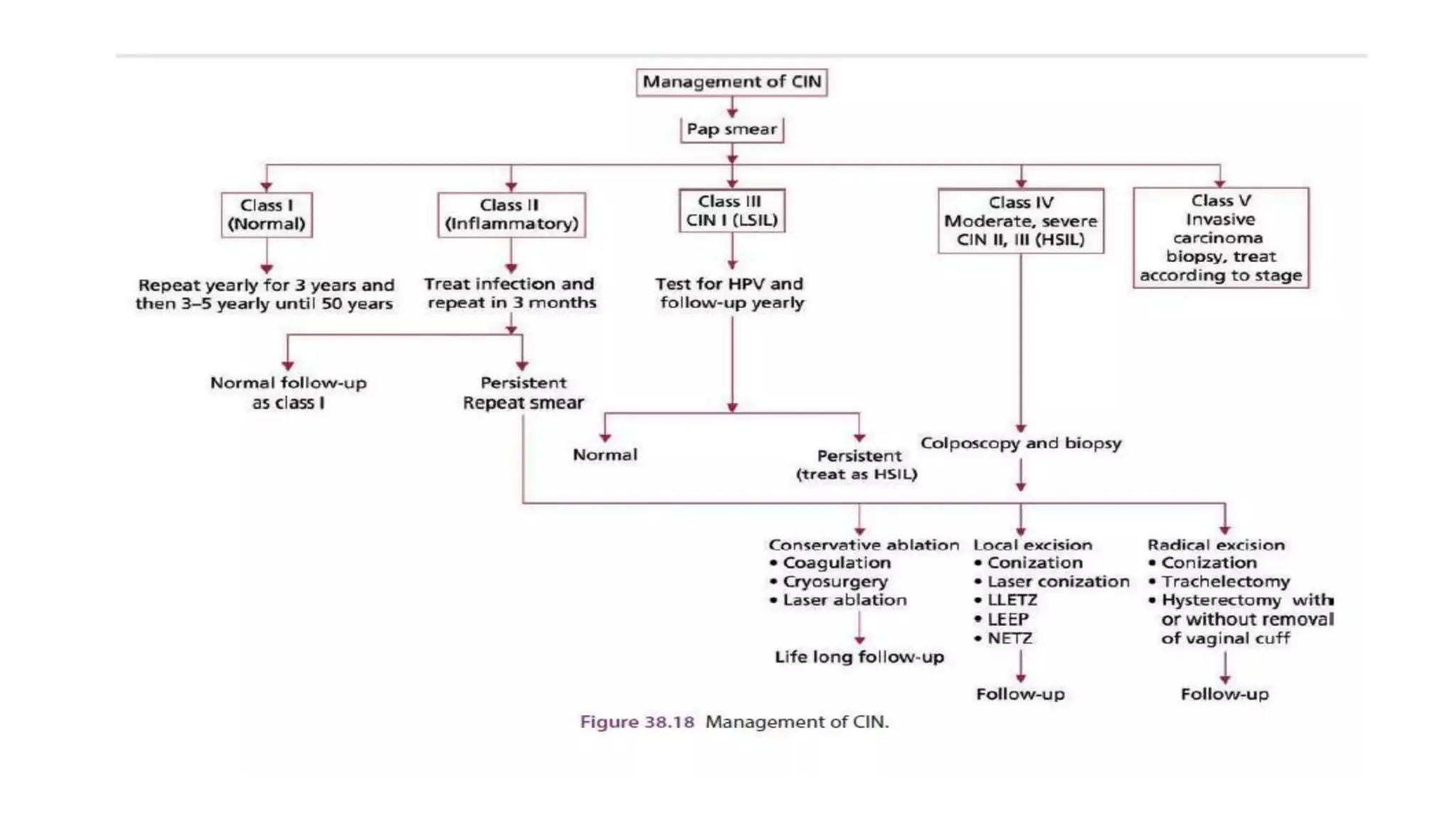 Cervical intraepithelial neoplasia.dpptx