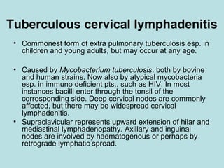 Tuberculous cervical lymphadenitis
• Commonest form of extra pulmonary tuberculosis esp. in
children and young adults, but may occur at any age.
• Caused by Mycobacterium tuberculosis; both by bovine
and human strains. Now also by atypical mycobacteria
esp. in immuno deficient pts., such as HIV. In most
instances bacilli enter through the tonsil of the
corresponding side. Deep cervical nodes are commonly
affected, but there may be widespread cervical
lymphadenitis.
• Supraclavicular represents upward extension of hilar and
mediastinal lymphadenopathy. Axillary and inguinal
nodes are involved by haematogenous or perhaps by
retrograde lymphatic spread.
 