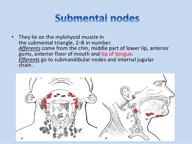 shotty axillary lymph nodes