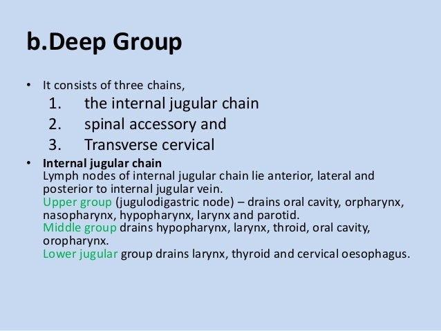shotty cervical lymphadenopathy shotty cervical lymphadenopathy