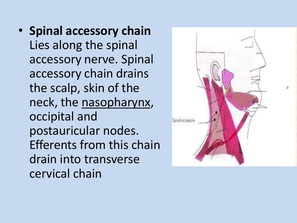 Cervical lymphadenopathy