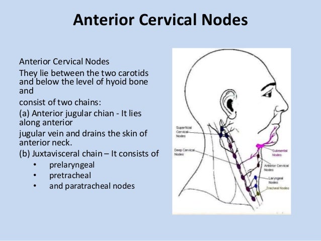 Cervical lymphadenopathy