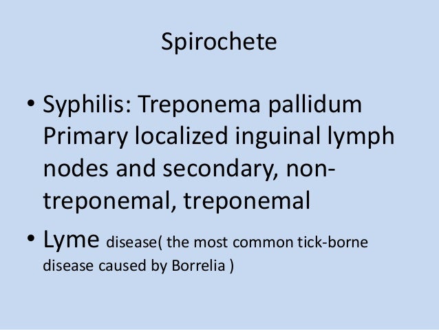shotty cervical lymphadenopathy shotty cervical lymphadenopathy