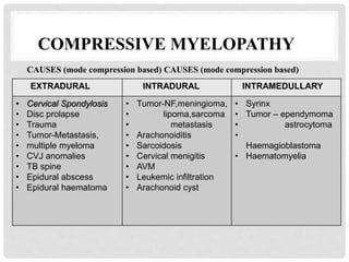 EXTRADURAL INTRADURAL INTRAMEDULLARY
• Cervical Spondylosis
• Disc prolapse
• Trauma
• Tumor-Metastasis,
• multiple myeloma
• CVJ anomalies
• TB spine
• Epidural abscess
• Epidural haematoma
• Tumor-NF,meningioma,
• lipoma,sarcoma
• metastasis
• Arachonoiditis
• Sarcoidosis
• Cervical menigitis
• AVM
• Leukemic infiltration
• Arachonoid cyst
• Syrinx
• Tumor – ependymoma
• astrocytoma
•
Haemagioblastoma
• Haematomyelia
COMPRESSIVE MYELOPATHY
CAUSES (mode compression based) CAUSES (mode compression based)
 