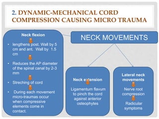 2. DYNAMIC-MECHANICAL CORD
COMPRESSION CAUSING MICRO TRAUMA
Neck flexion
• lengthens post. Wall by 5
cm and ant. Wall by 1.5
cm
• Reduces the AP diameter
of the spinal canal by 2-3
mm
• Streching of cord
• During each movement
micro-traumas occur
when compressive
elements come in
contact.
Neck extension
Ligamentum flavum
to pinch the cord
against anterior
osteophytes
Lateral neck
movements
Nerve root
compression
Radicular
symptoms
NECK MOVEMENTS
 