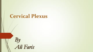 Cervical Plexus
By
Ali Faris
 