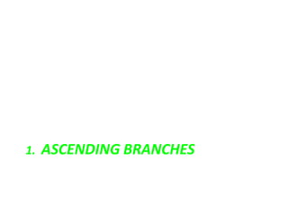 1. ASCENDING BRANCHES
 