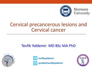 Cervical precancerous lesions and
Cervical cancer
Tevfik Yoldemir MD BSc MA PhD
tevfikyoldemir
profdrdrtevfikyoldemir
 