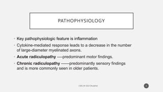 PATHOPHYSIOLOGY
• Key pathophysiologic feature is inflammation
• Cytokine-mediated response leads to a decrease in the number
of large-diameter myelinated axons.
• Acute radiculopathy ----predominant motor findings.
• Chronic radiculopathy ------predominantly sensory findings
and is more commonly seen in older patients.
4
 