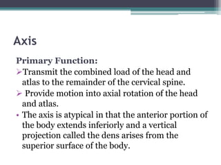 structure of Cervical region | PPTX