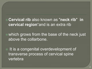 Cervical rib also known as "neck rib" in
cervical region“and is an extra rib
which grows from the base of the neck just
above the collarbone.
 It is a congenital overdevelopment of
transverse process of cervical spine
vertebra
4
 