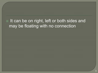  It can be on right, left or both sides and
may be floating with no connection
5
 