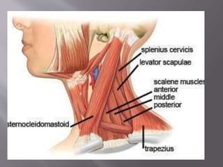 Cervical rib syndrome | PPTX