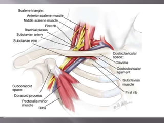 Cervical rib syndrome | PPTX
