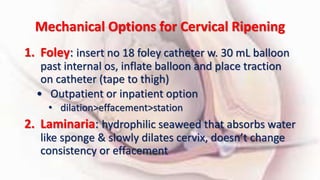 Mechanical Options for Cervical Ripening
1. Foley: insert no 18 foley catheter w. 30 mL balloon
past internal os, inflate balloon and place traction
on catheter (tape to thigh)
• Outpatient or inpatient option
• dilation>effacement>station
2. Laminaria: hydrophilic seaweed that absorbs water
like sponge & slowly dilates cervix, doesn’t change
consistency or effacement
 