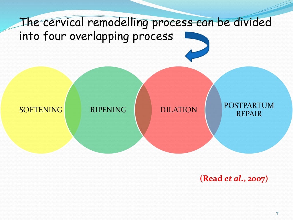 Mechanism of Cervical ripening