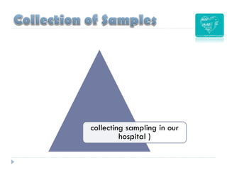 collecting sampling in our
hospital )
 