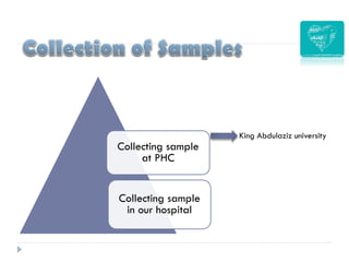 Collecting sample
at PHC
Collecting sample
in our hospital
King Abdulaziz university
 