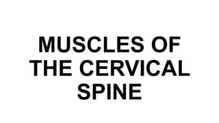 MUSCLES OF
THE CERVICAL
SPINE
 