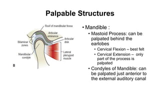 Palpable Structures
• Mandible :
• Mastoid Process: can be
palpated behind the
earlobes
• Cervical Flexion – best felt
• Cervical Extension – only
part of the process is
palpated
• Condyles of Mandible: can
be palpated just anterior to
the external auditory canal
 