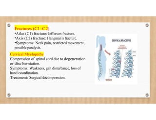 cervical spine.docx Cervical Spine Imaging Techniques | DOCX