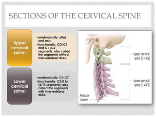 Cervical spine assessment for human 1.pdf