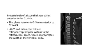 Prevertebral soft tissue thickness varies
anterior to the C1 arch.
• This plane narrows to 2-3 mm anterior to
C2 to C4.
• At C5 and below, the thinner
retropharyngeal space widens to the
retrotracheal space, which approximates
the width of the vertebral body.
 