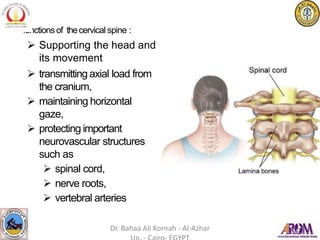 • functionsof thecervical spine :
 Supporting the head and
its movement
 transmitting axial load from
the cranium,
 maintaining horizontal
gaze,
 protecting important
neurovascular structures
such as
 spinal cord,
 nerve roots,
 vertebral arteries
Dr. Bahaa Ali Kornah - Al-Azhar
 
