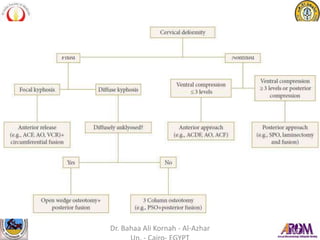 Dr. Bahaa Ali Kornah - Al-Azhar
 