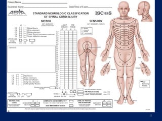 Cervical spine injury antomy and management.pptx