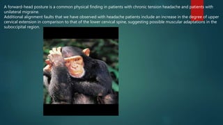 Cervical spine part 2