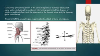 Cervical spine part 2