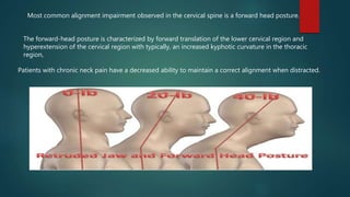 Cervical spine part 2