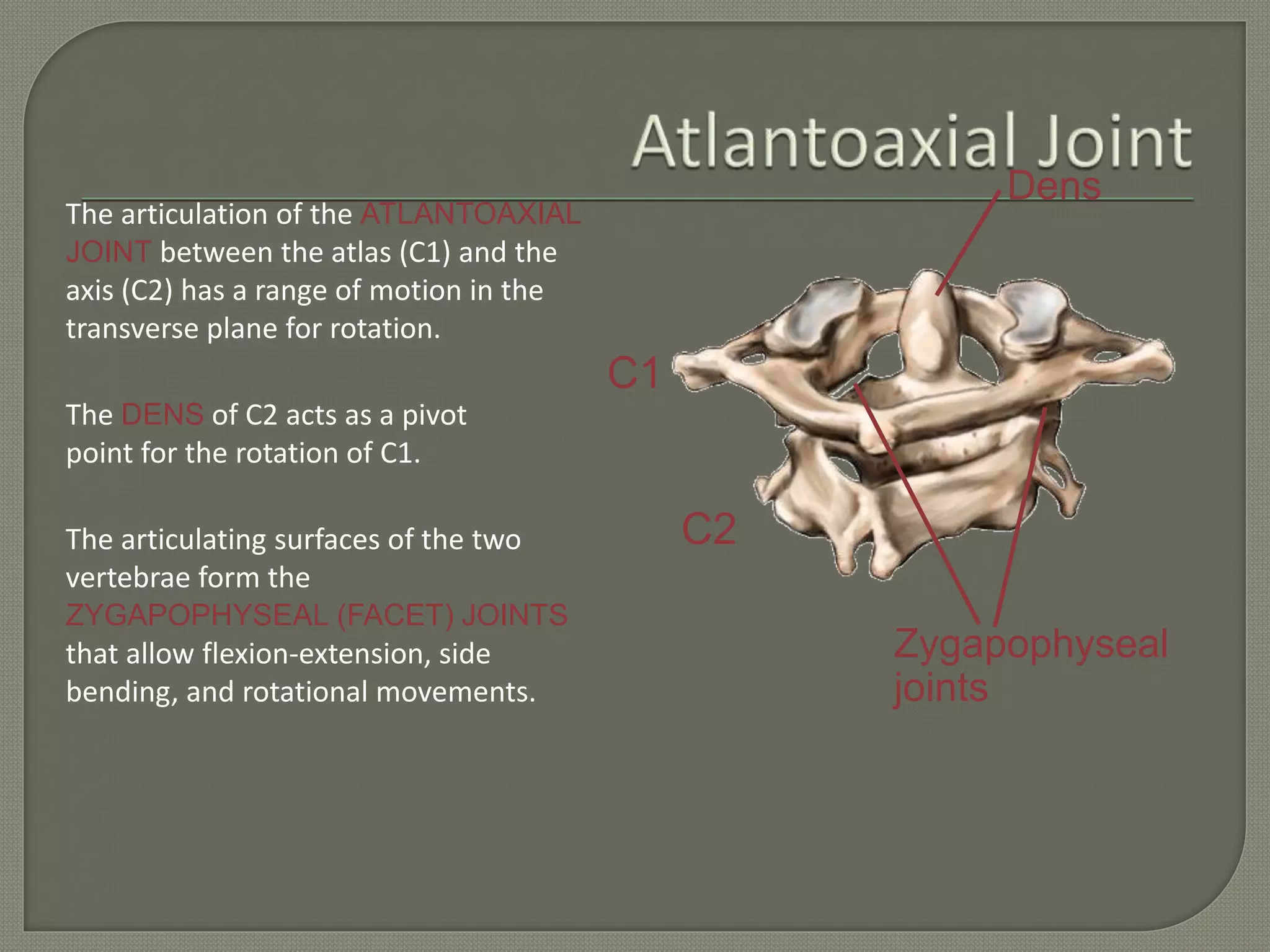 Cervical spinepathology | PPTX
