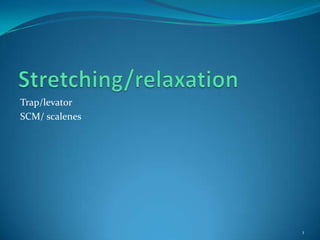Stretching/relaxation Trap/levator SCM/ scalenes 1 