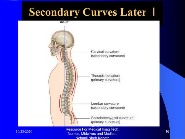 Cervical spine x ray and pathologies radiology training resource ...