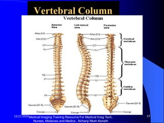 Cervical spine x ray and pathologies radiology training resource ...