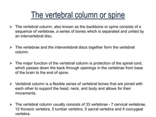Best Homeopathic Medicines for Cervical spondylitis and neck pain | PPTX