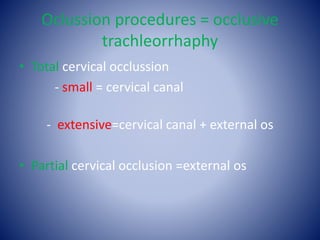 Oclussion procedures = occlusive
trachleorrhaphy
• Total cervical occlussion
- small = cervical canal
- extensive=cervical canal + external os
• Partial cervical occlusion =external os
 