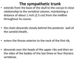 The sympathetic trunk
• extends from the base of the skull to the coccyx in close
relationship to the vertebral column, maintaining a
distance of about 1 inch (2.5 cm) from the midline
throughout its course.
• the chain descends closely behind the posterior wall of
the carotid sheath,
• enters the thorax anterior to the neck of the first rib,
• descends over the heads of the upper ribs and then on
the sides of the bodies of the last three or four thoracic
vertebrae.
 