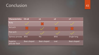 Conclusion 43
Characteristics C3-c6 c1 c2 c7
Body
Ant arch
Post arch
Spinous process Bifid No Bifid Single long
Superior
articular facet
Bean shaped Bean shaped oval Bean shaped
 