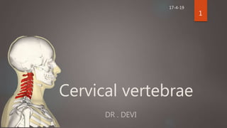 Cervical vertebrae
DR . DEVI
1
17-4-19
 